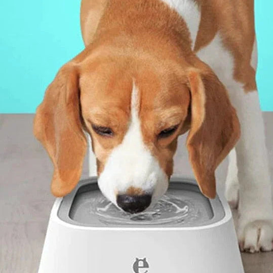 Dog Drinking Water Bowl with Floating Design - Non-Wetting, Non-Skid, Large Capacity
